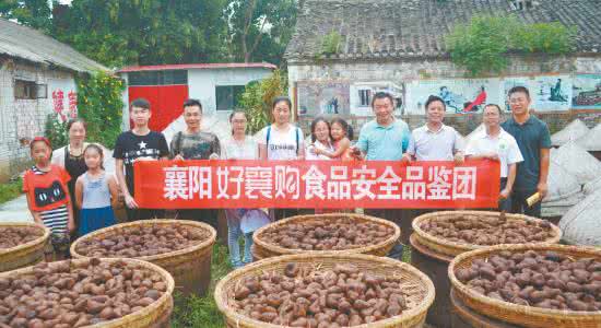襄阳陈学强被判死刑 襄阳销售假冒食盐到酱品厂 领刑一年四个月