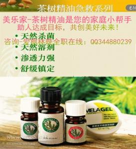 茶树精油的功效与作用 茶树精油的功效 茶树精油的功效与作用