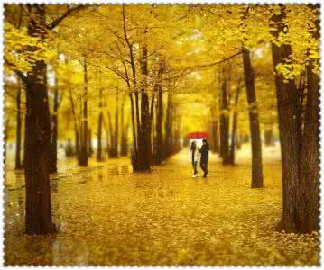 烟花碎盛世红妆 蹉跎岁月情依旧，盛世烟花几度秋