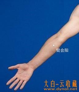 臂合阳 臂合阳——离肩背更近的绳子头