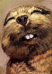 人生如梦 人生如梦，我总失眠，人生如戏，我总笑场