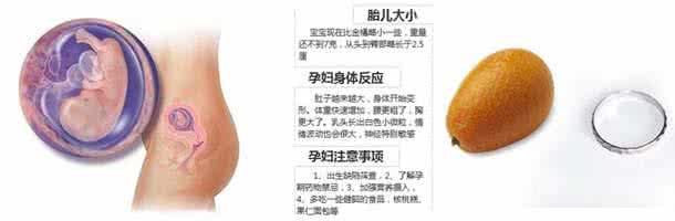 体重下降多少需要警惕 体重下降多少需要警惕 哪些情况需要警惕宫外孕