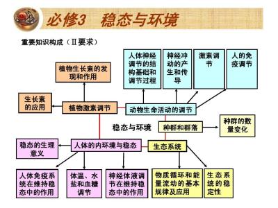 高中生物复习