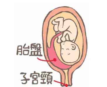 胎盘能吃吗 吃胎盘有奇效？纯属谬论！