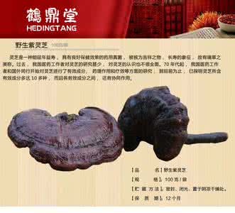 肉灵芝的营养价值 肉灵芝的营养价值 小编为大家介绍灵芝的作用以及营养价值都有什么