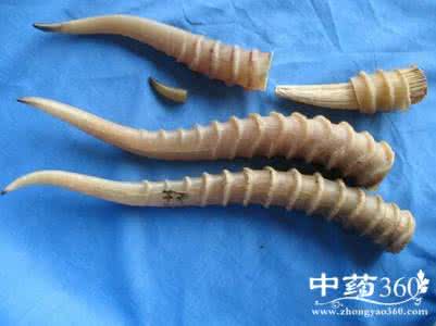 中药退烧药 中药退烧药 中药退烧 立杆见影