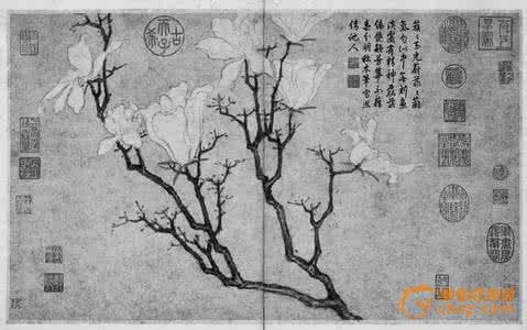 沈周题玉兰 沈周题玉兰 沈周 玉兰