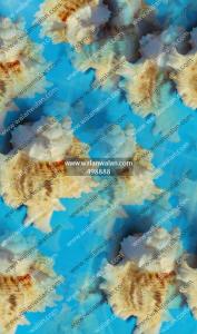 为什么贝壳有海浪声 为什么贝壳有海浪声,真像:海浪声是周围的噪音