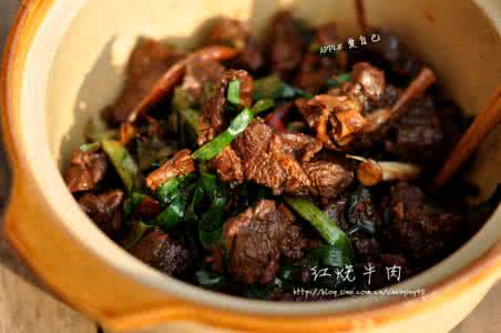 红烧牛肉的做法 【红烧牛肉】嗜肉族 完美红烧牛肉做法！！！