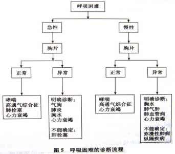 久咳嗽不好的特效方 外感咳嗽效方