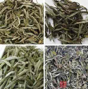 白茶有什么特点 白茶有哪些种类