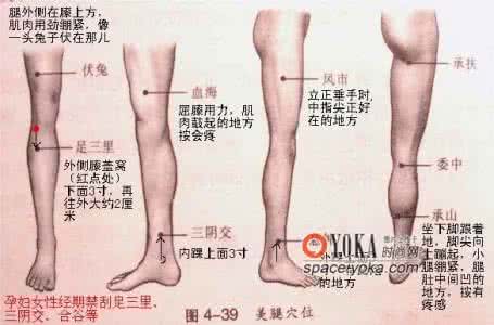 刮痧瘦腿的正确方法 刮痧瘦腿的正确方法 正确刮痧减肚子方法