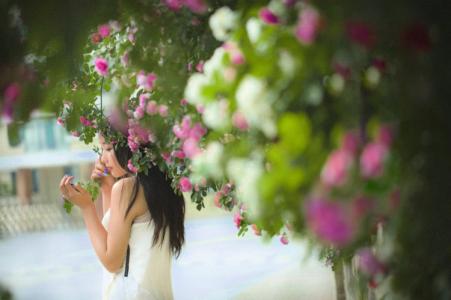 美图美文心语 浪漫心语【情感美文】