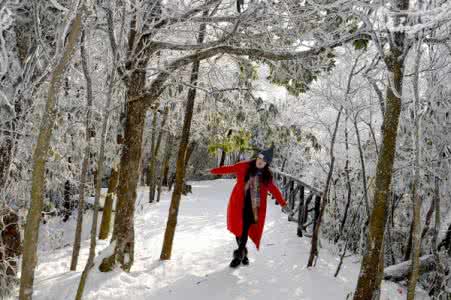 南方的艳阳里大雪纷飞 为什么艳阳里也能大雪纷飞