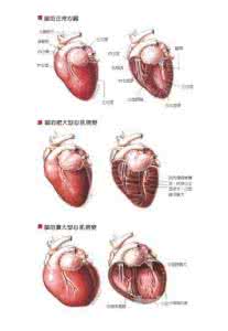 充血性心力衰竭症状 充血性心力衰竭 充血性心力衰竭有什么症状