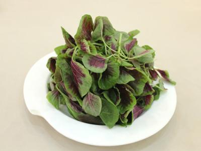 孕妇能不能吃苋菜 孕妇能不能吃苋菜 孕妇能不能吃苋菜？孕妇吃苋菜的做法