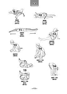 健身各部位拉伸 如何拉伸全身？每个部位应该这样拉伸