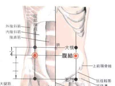 天枢按摩的最佳时间 便秘按摩大横天枢两穴位