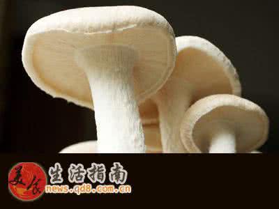 澳大利亚蘑菇大餐 冬季蘑菇减肥大餐 吃出S型曲线