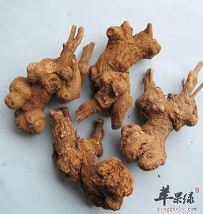 白术的作用与功效 白术的功效与作用及食用方法 全面了解白术