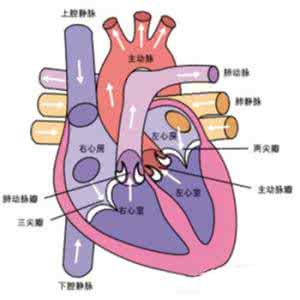 小儿先天性心脏病护理 小儿先天性心脏病护理 小儿先天弱视的护理办法
