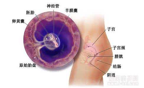 孕早期症状 孕早期症状 孕期十大症状需认真辨别