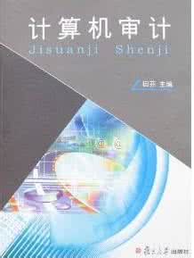 计算机审计 审计 计算机审计