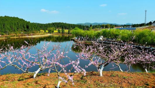 东湖春天 【旅游摄影】阳春三月浙赣行-东湖之春
