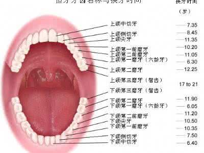 小孩子如何保护牙齿 小孩的牙齿都换吗 小孩的牙齿要怎么保护？