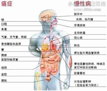 哪种植物油有益健康 对人体健康最有益的七种油