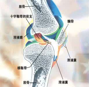 骨关节炎的中医疗法 骨关节炎的中医疗法 盘点骨关节炎治疗的几大疗法