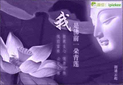 红颜知己散文 我的红颜知己 散文朗诵 我的红颜知己