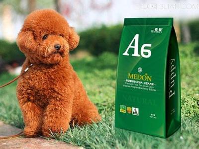 幼泰迪不吃狗粮怎么办 泰迪犬不吃狗粮怎么办