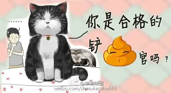 万博为什么那么多人玩 简直天堂!那么多的喵,我要去应聘铲屎官了!