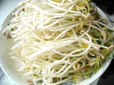 绿豆芽怎么发 自己动手发绿豆芽