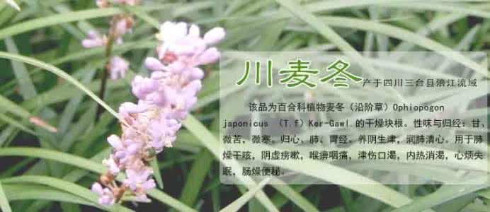 麦冬功效与作用及禁忌 麦冬功效与作用及禁忌 麦冬的作用与禁忌 什么人不适合吃？