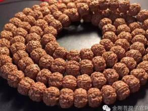 金刚菩提子 阿敏文玩 金刚菩提子怎么盘 金刚菩提这么玩,想不牛逼都难!