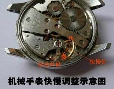 笔记本触摸屏没反应 从你摸喵后的3个反应,看你在它心中的分量!
