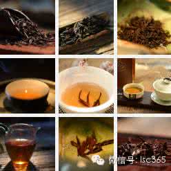 女人痣长哪里最有福气 泡茶的人比泡茶技术更重要(会泡茶的女人有福气)