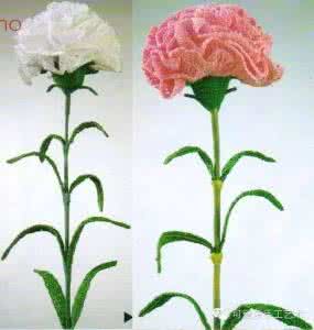 钩针花卉图解 极品钩针花卉大全（附图解）