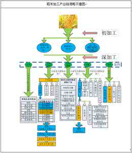 稻米加工 对于国内稻米加工的分析