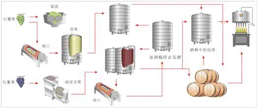 葡萄酒加糖比例 在家酿造葡萄酒加糖的比例