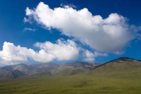 贵德拉鸡山 天下黄河贵德清 拉鸡山上草如茵