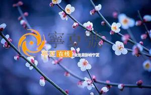 杏花春雨江南 从大漠孤烟塞北到杏花春雨江南,以诗词之心,伴岁月前行