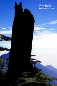 饥荒海难仙人掌 仙人飘海
