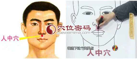 急救药品的分类及作用 人中穴的作用 人中穴有什么急救作用?