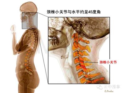 许燕玲俯卧撑那一期图 许燕玲示范俯卧撑 肌肉兵哥示范俯卧撑的10种玩法，大写的6！