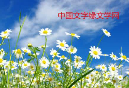 送你一朵野菊花 愿做一朵野菊花