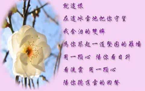 甜蜜爱情语录 经典甜蜜爱情语录精选