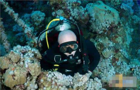 探寻寿光古国 潜水者深入红海探寻神秘古国遗迹